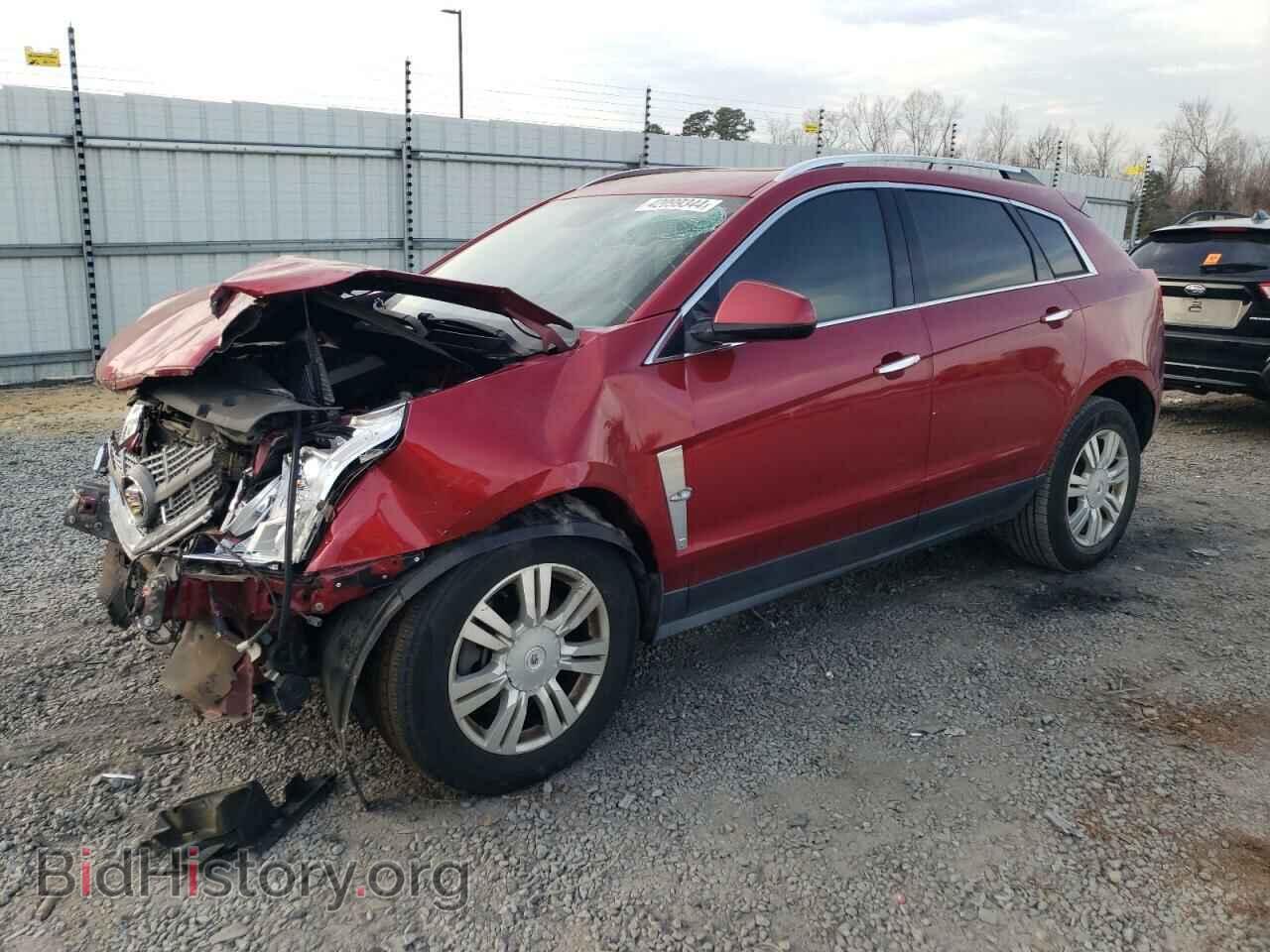 Фотография 3GYFNAEY4AS575531 - CADILLAC SRX 2010