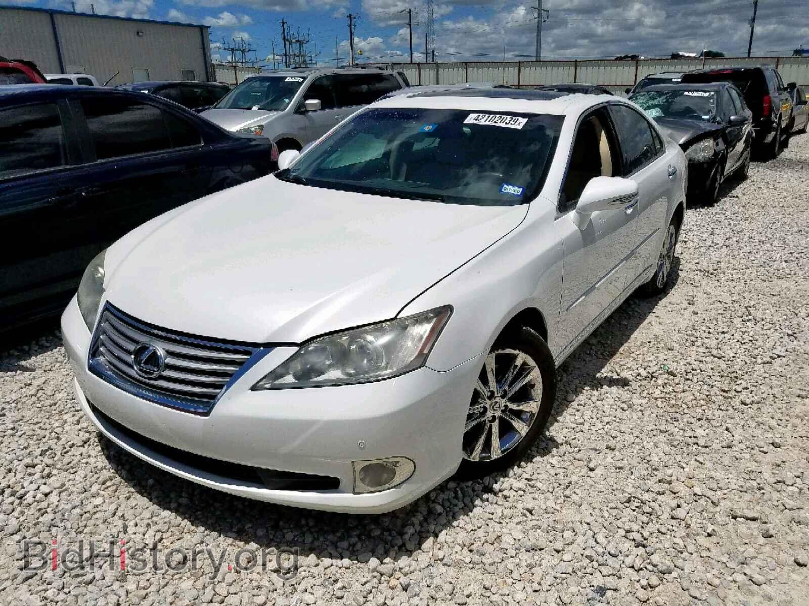 2011 LEXUS ES350 - VIN: JTHBK1EG2B2423229 - Фото 2