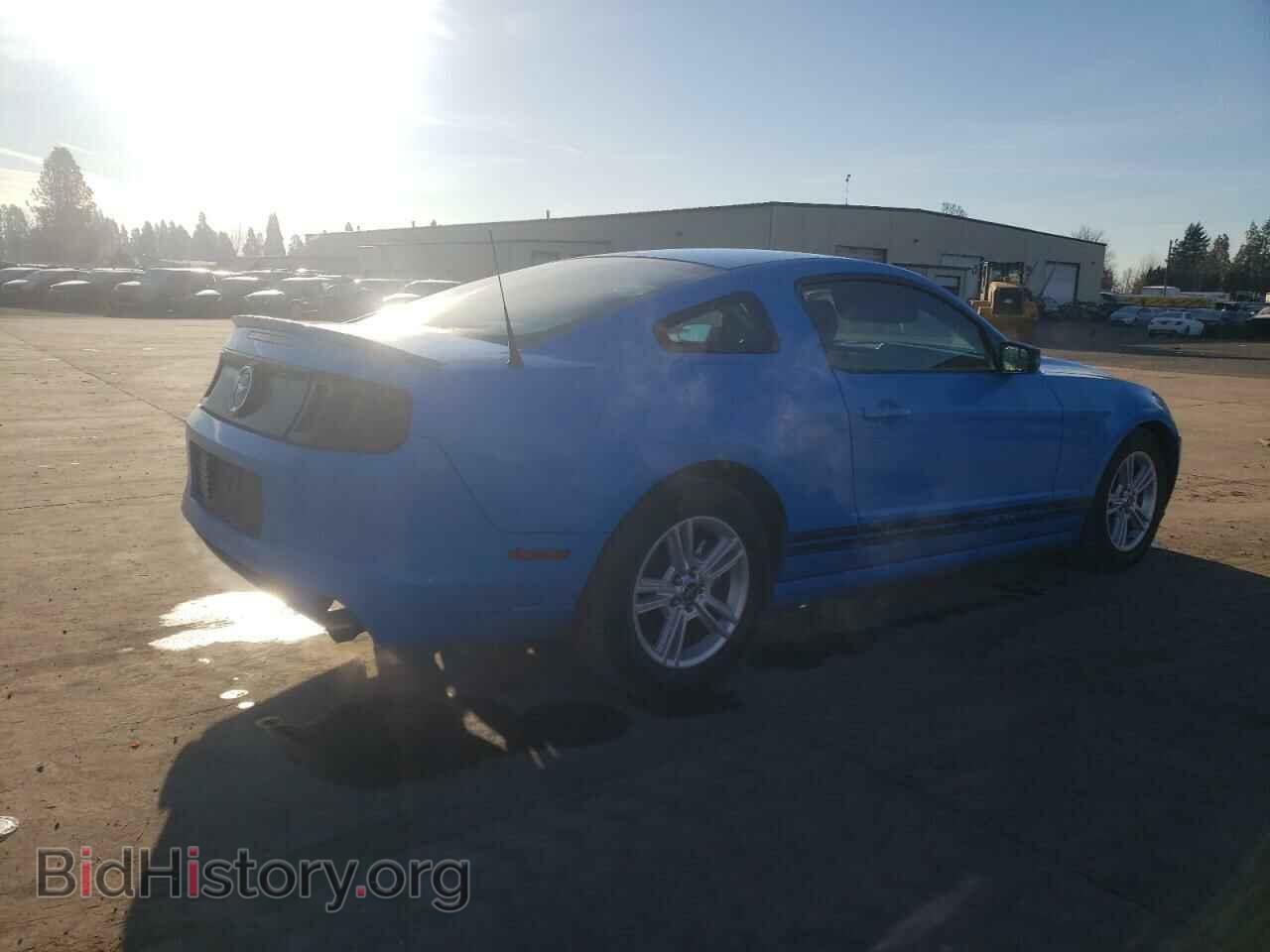 2013 FORD ALL Models - VIN: 1ZVBP8AM0D5208101 - Фото 3