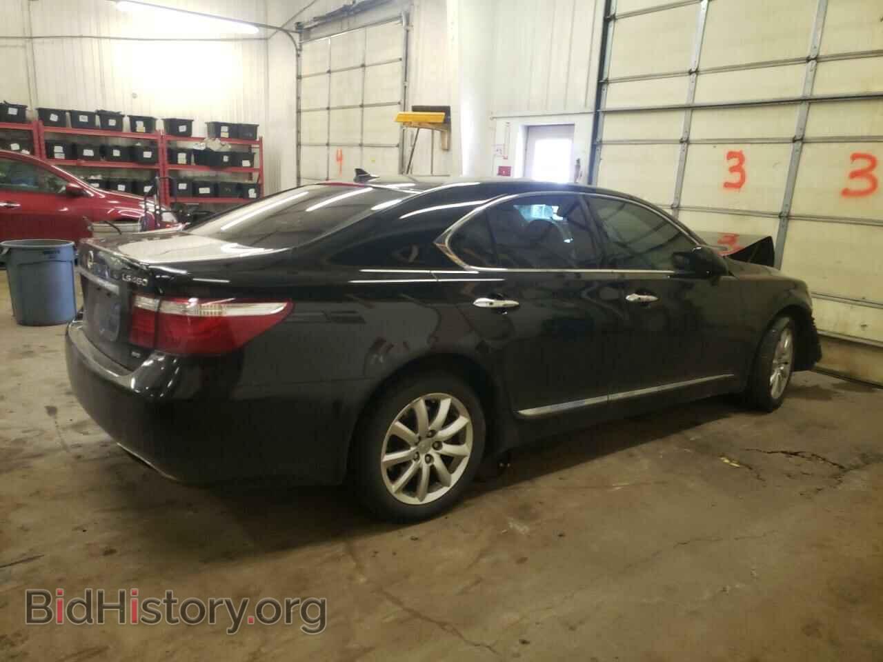 2009 LEXUS LS460 - VIN: JTHCL46F995003548 - Фото 3
