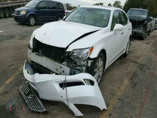 2007 LEXUS LS460 - VIN: JTHBL46F075007545 - Photo 2