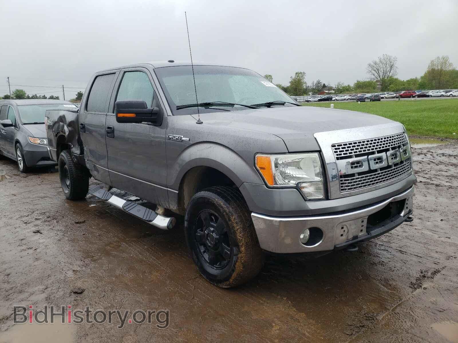 Фотография 1FTEW1E87AFA63250 - FORD F150 2010