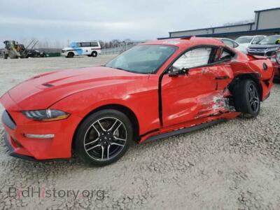 2022 Ford ALL MODELS, red — VIN 1FA6P8TH5N5100259, Copart