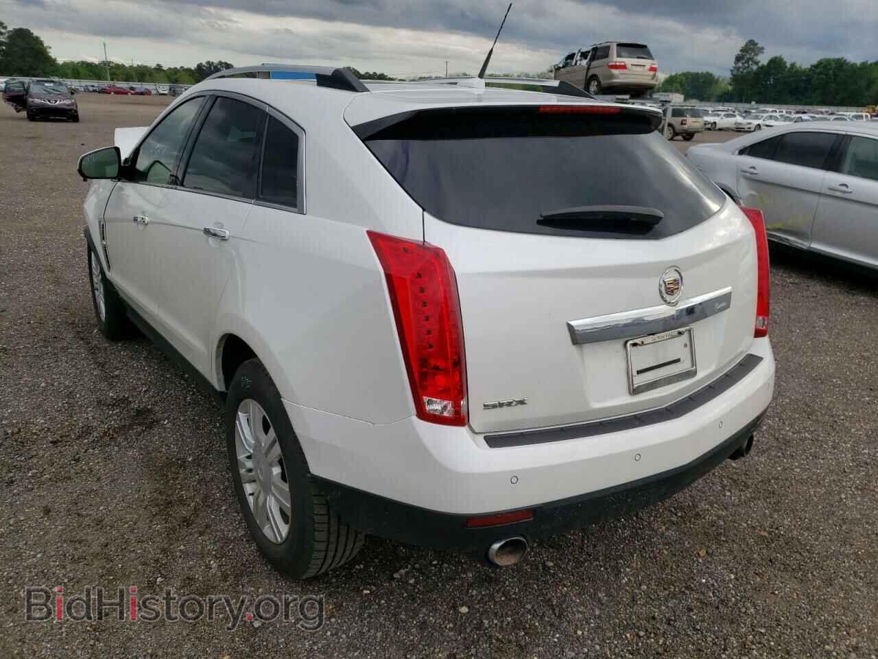 2011 CADILLAC SRX - VIN: 3GYFNAEYXBS527808 - Фото 3