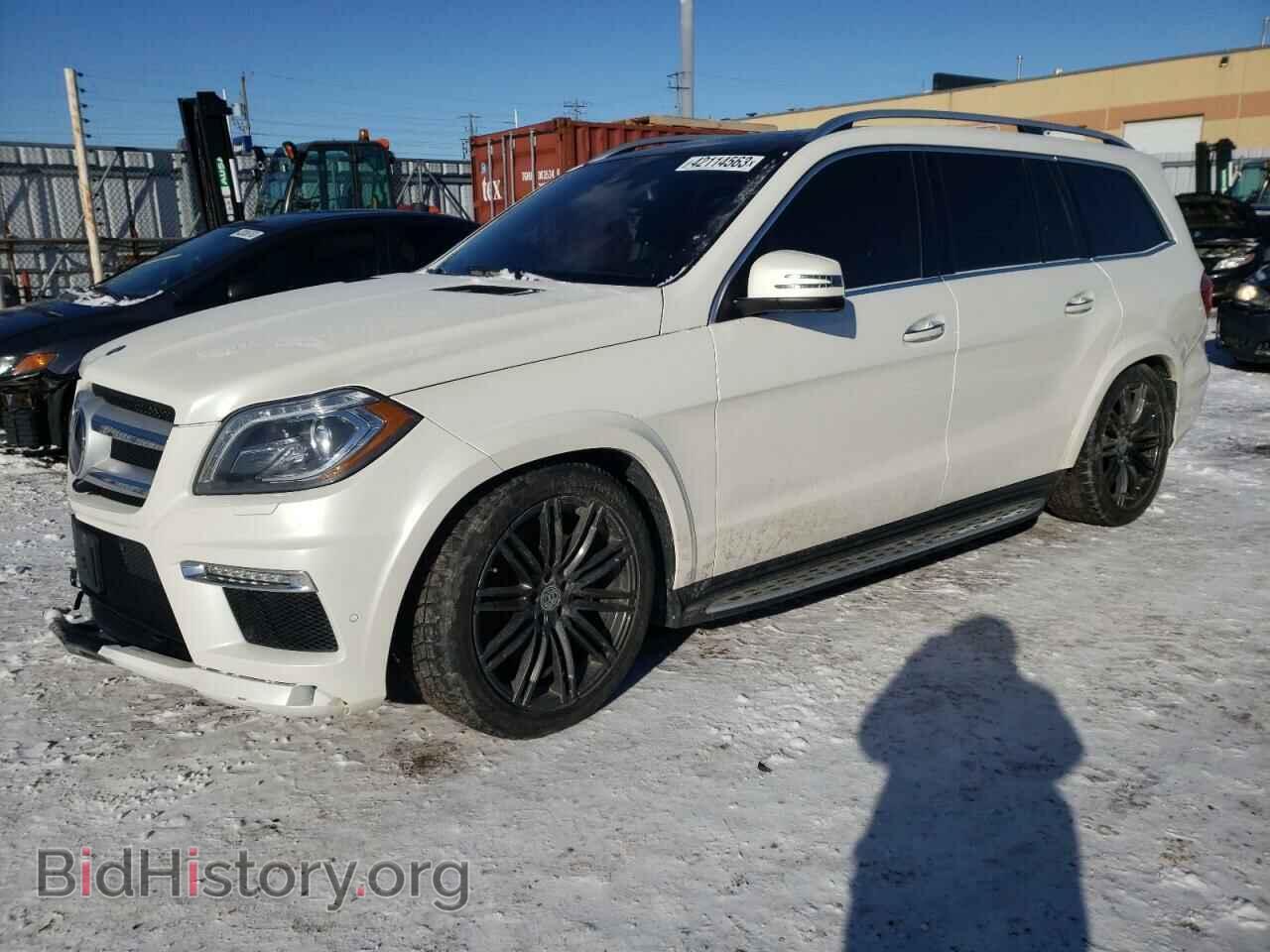 Photo 4JGDF2EE3EA386135 - MERCEDES-BENZ GL-CLASS 2014