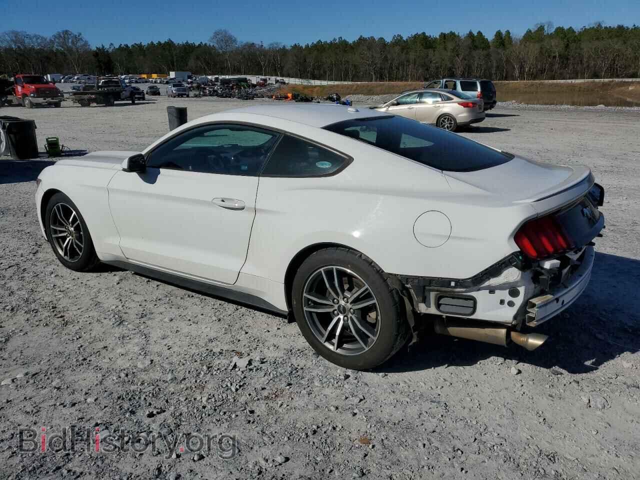 2017 FORD ALL Models - VIN: 1FA6P8TH4H5278913 - Фото 2