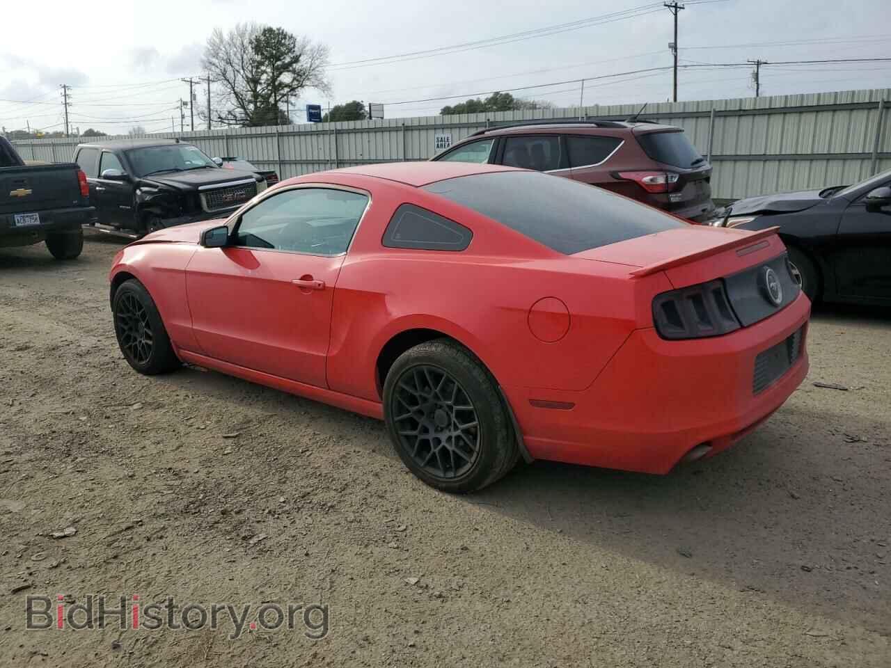 2013 FORD ALL Models - VIN: 1ZVBP8AM6D5254726 - Фото 2