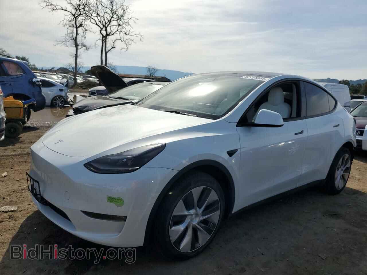 Фотография 7SAYGDEE5PF623946 - TESLA MODEL Y 2023