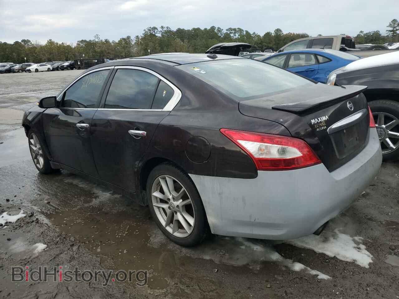 2010 NISSAN MAXIMA - VIN: 1N4AA5AP3AC873113 - Фото 2