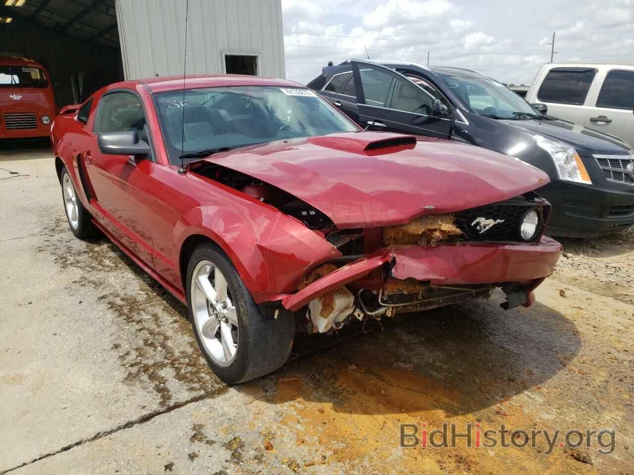 Photo 1ZVHT82H385113089 - FORD MUSTANG 2008