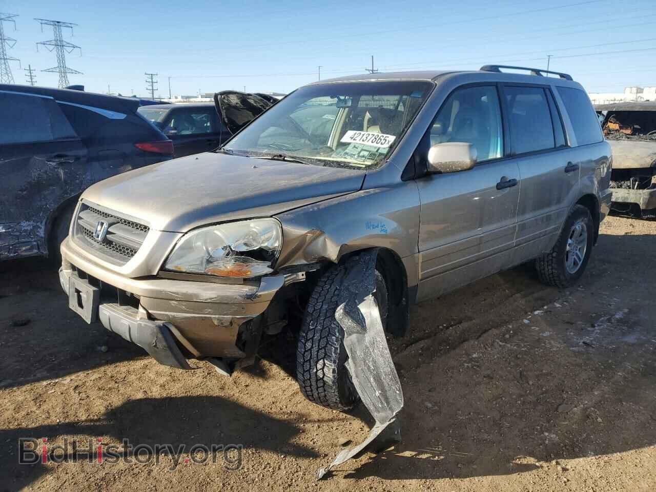 Photo 5FNYF18625B042307 - HONDA PILOT 2005