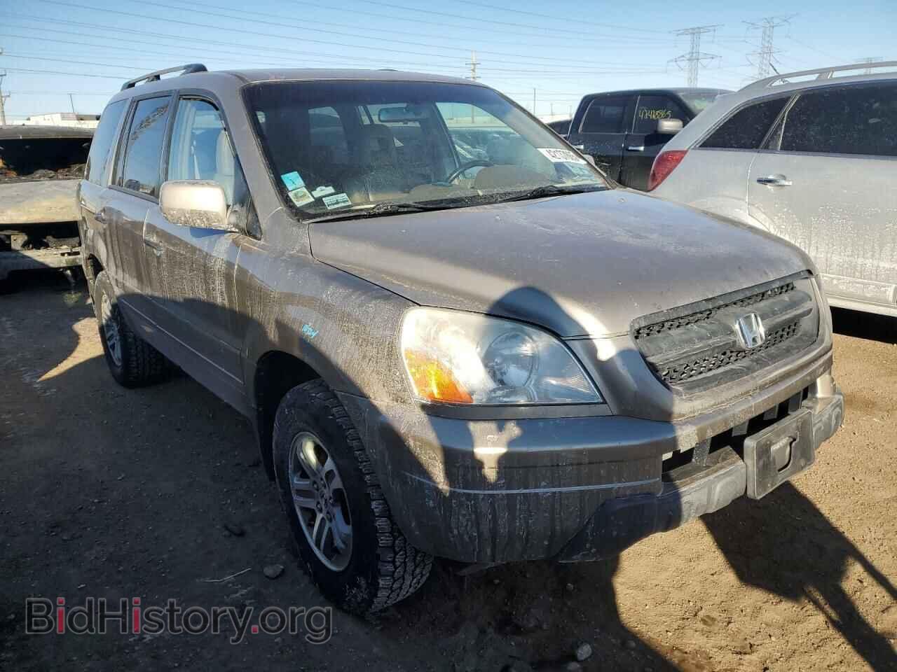 2005 HONDA PILOT - VIN: 5FNYF18625B042307 - Фото 4