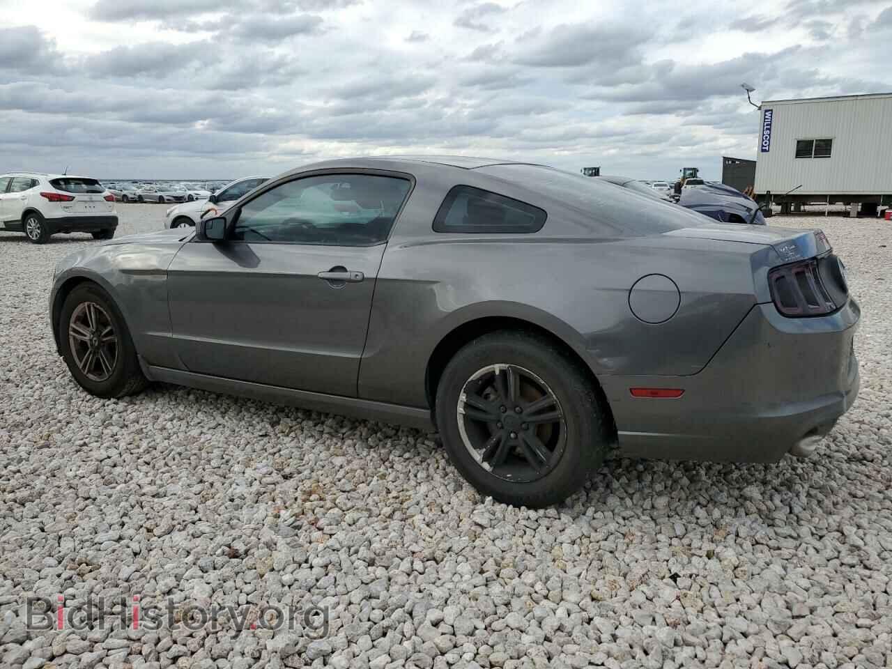 2013 FORD ALL Models - VIN: 1ZVBP8AM5D5278998 - Фото 2