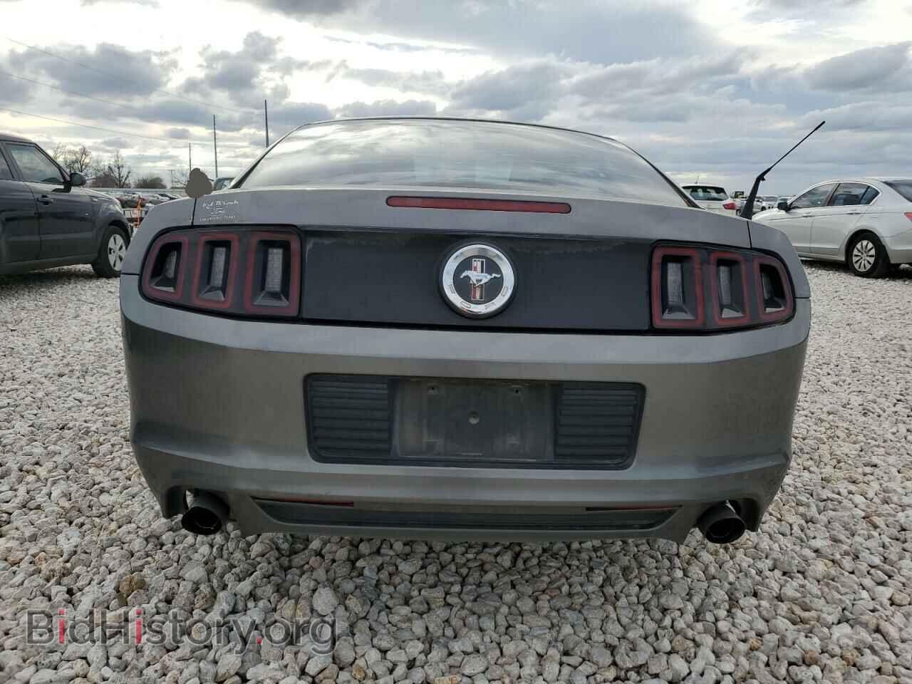 2013 FORD ALL Models - VIN: 1ZVBP8AM5D5278998 - Фото 6