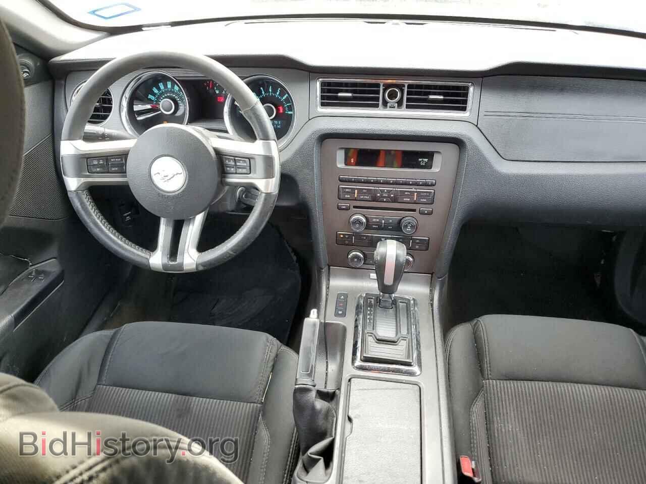 2013 FORD ALL Models - VIN: 1ZVBP8AM5D5278998 - Фото 8