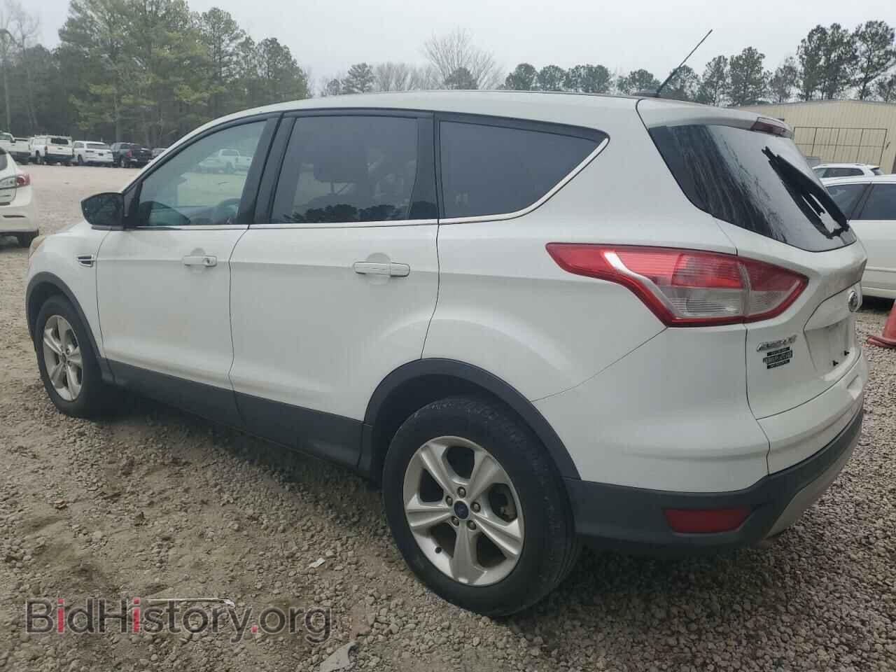 2013 FORD ESCAPE - VIN: 1FMCU0G9XDUC59062 - Фото 2