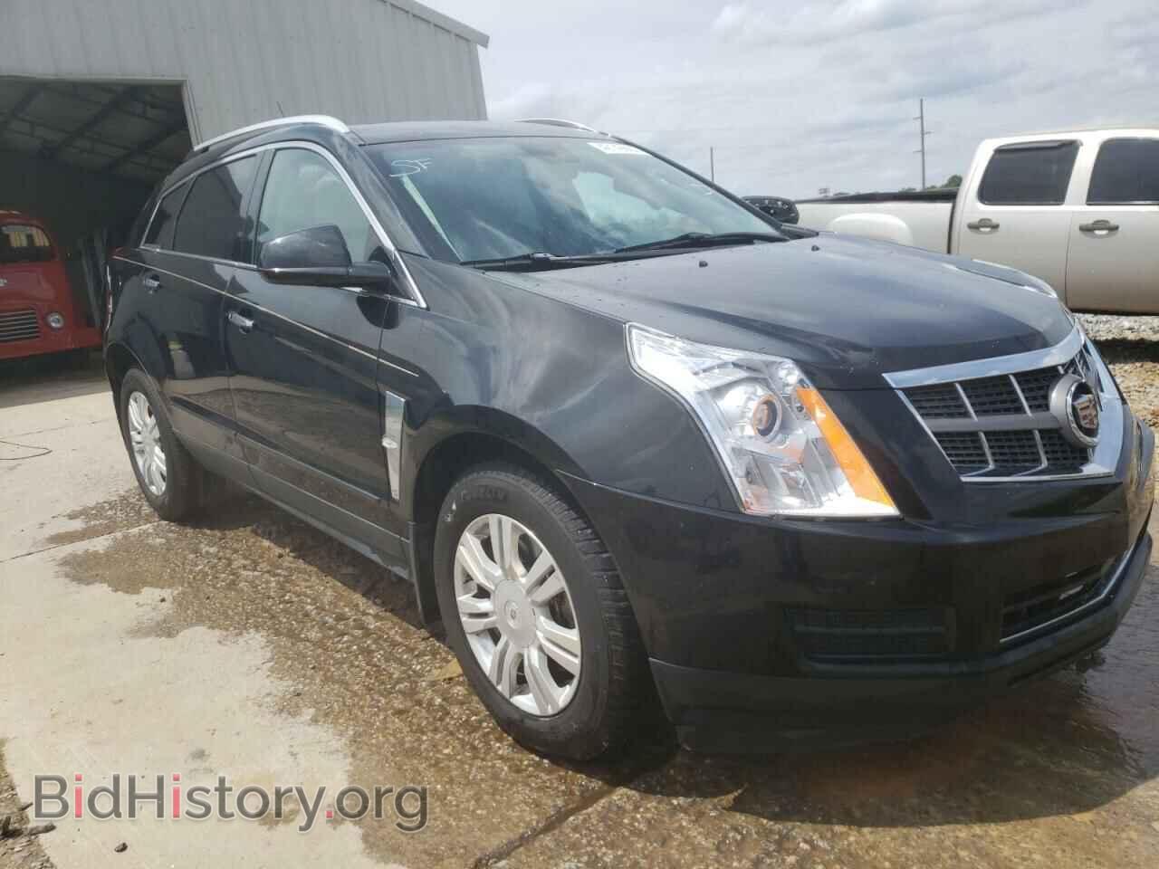 Фотография 3GYFNAE33CS503971 - CADILLAC SRX 2012