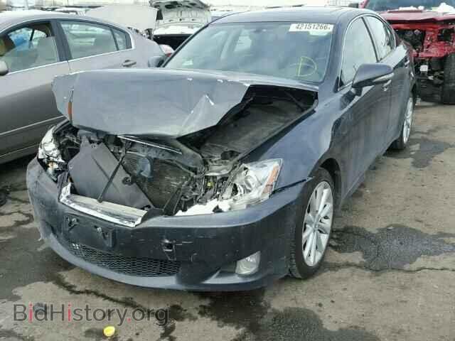 2010 LEXUS IS250 - VIN: JTHCF5C23A5044499 - Фото 2