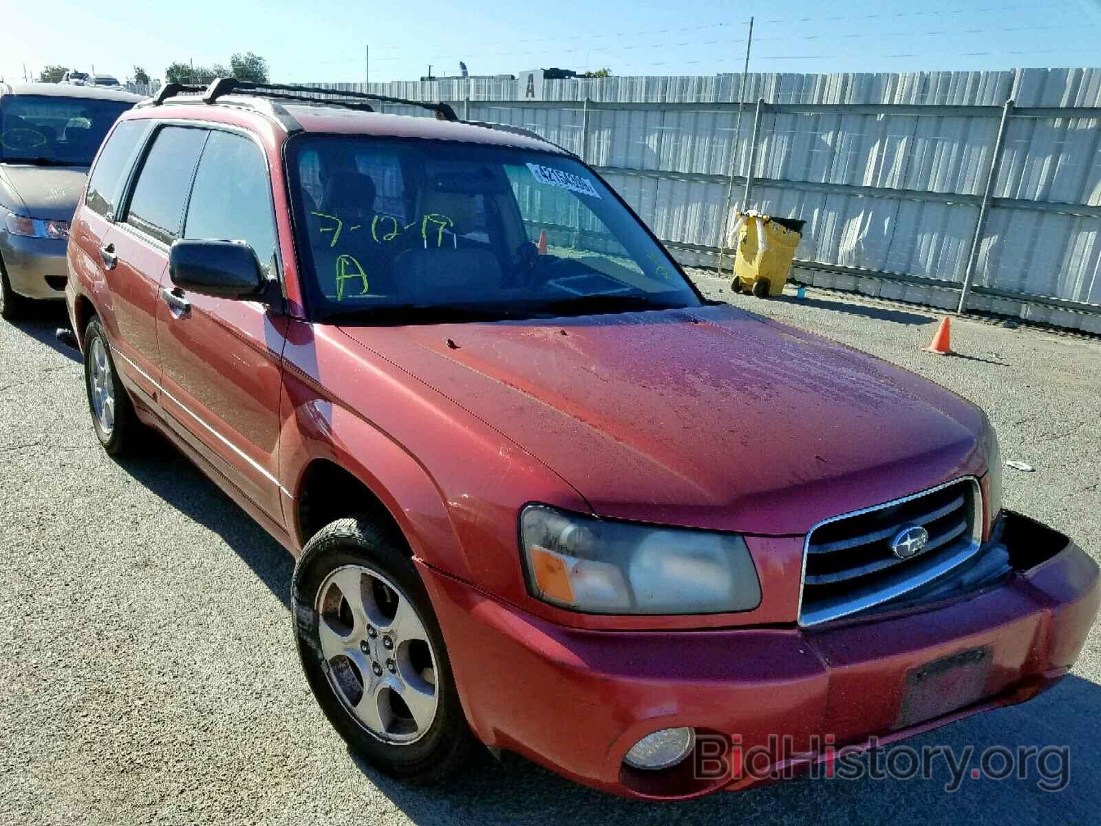 Photo JF1SG65643H731806 - SUBARU FORESTER 2003