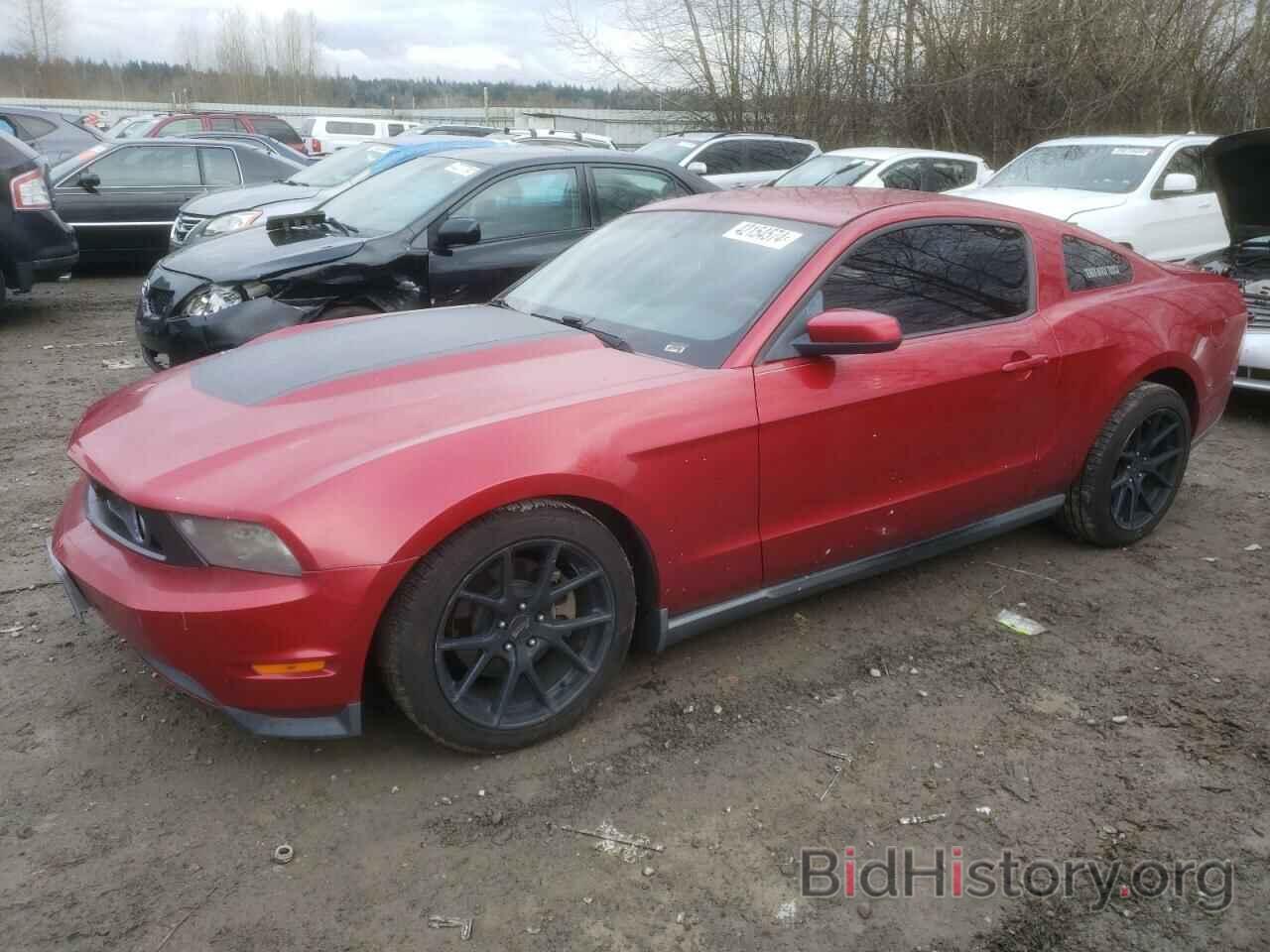 Photo 1ZVBP8CH2A5176103 - FORD MUSTANG 2010