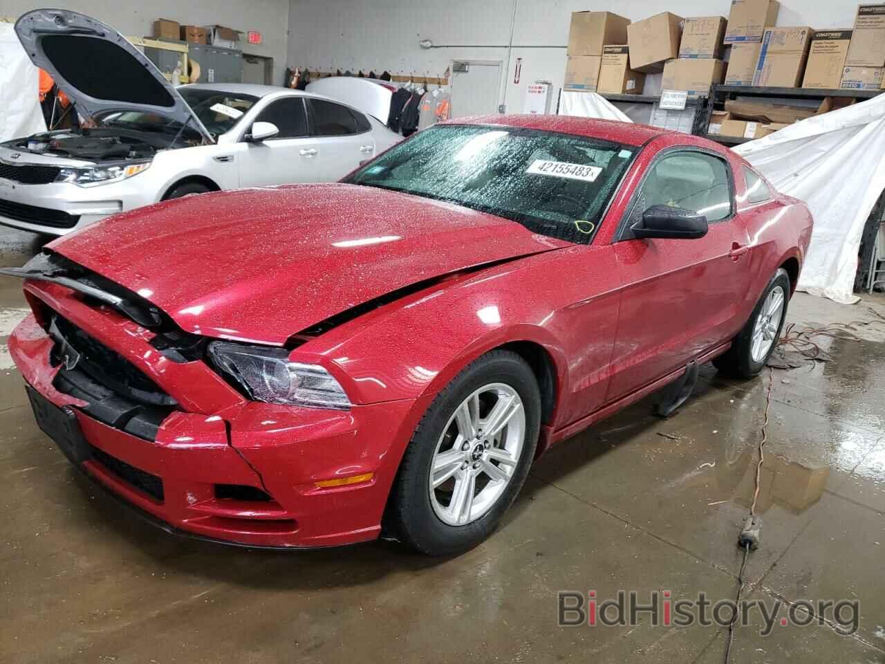 Photo 1ZVBP8AM7D5228541 - FORD MUSTANG 2013