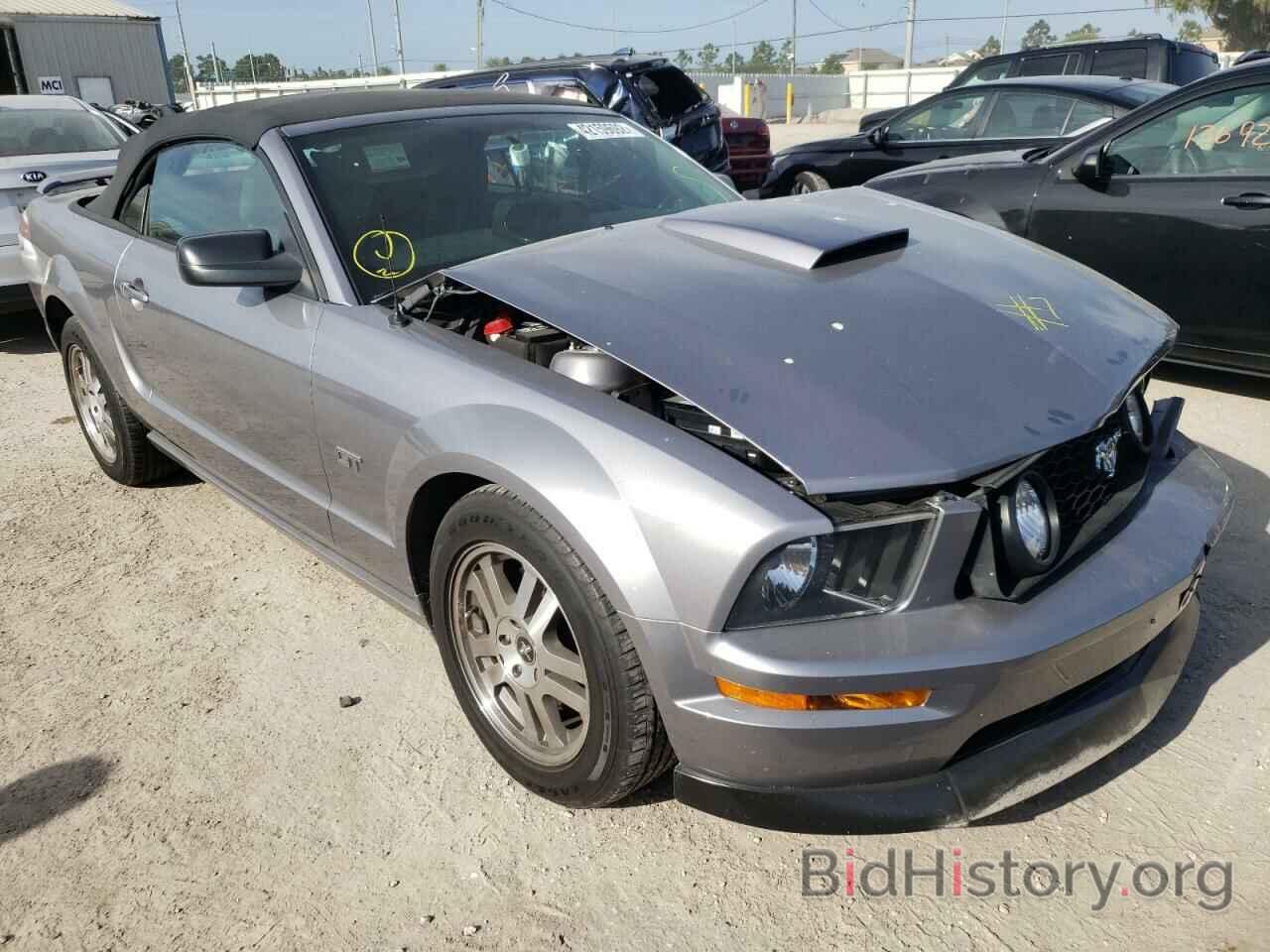 Photo 1ZVHT85H565233193 - FORD MUSTANG 2006