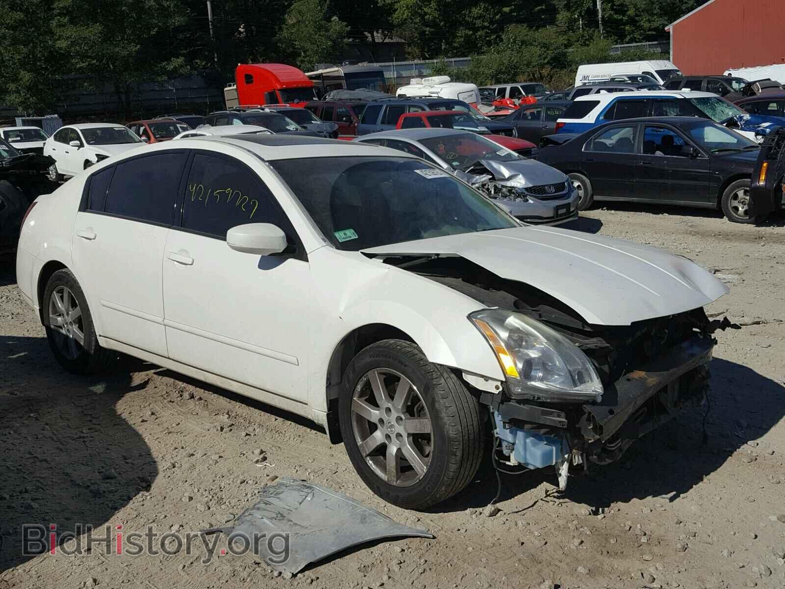 Photo 1N4BA41E36C857935 - NISSAN MAXIMA 2006
