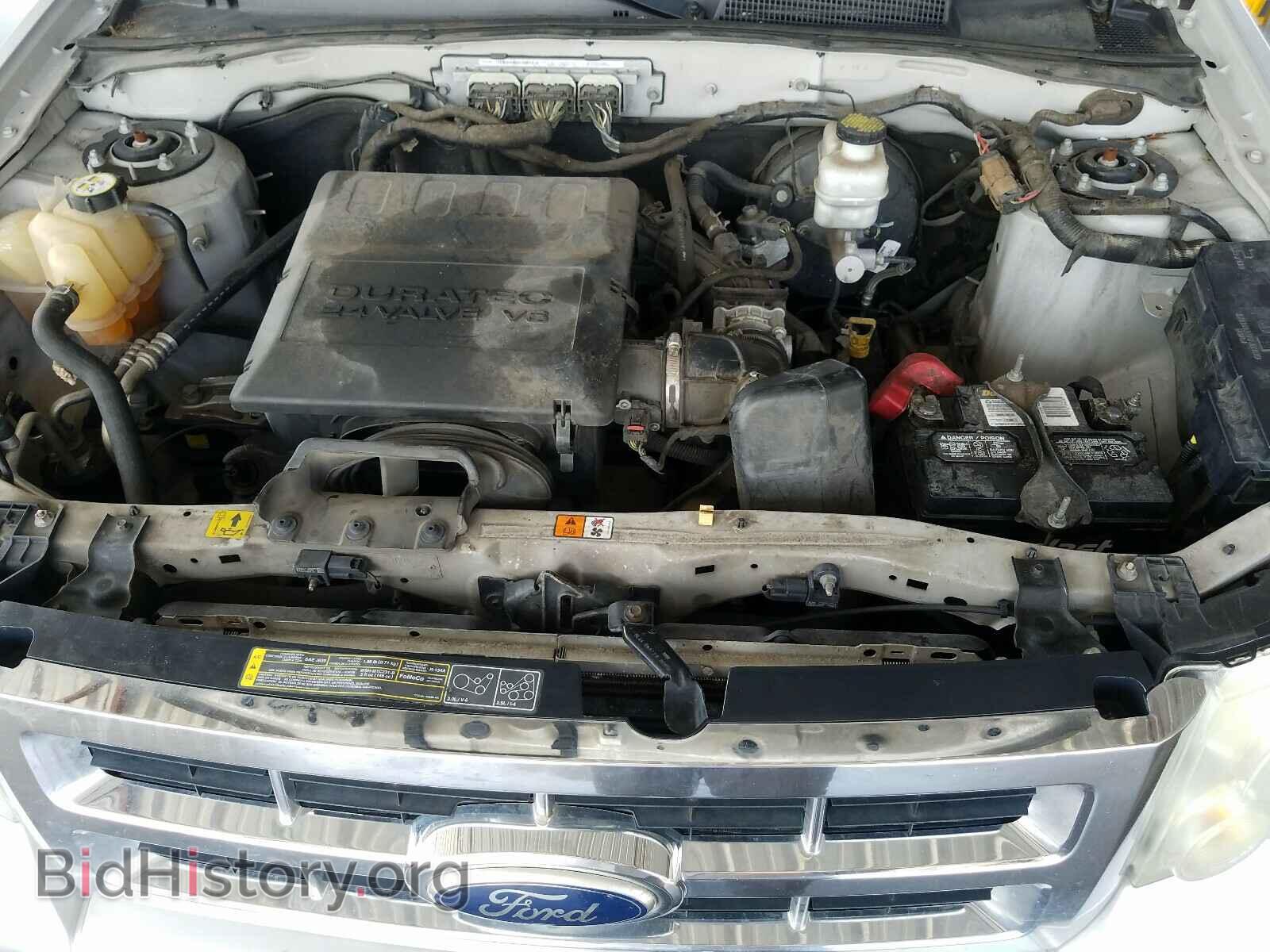 2011 FORD ESCAPE - VIN: 1FMCU0DG1BKA68982 - Фото 7