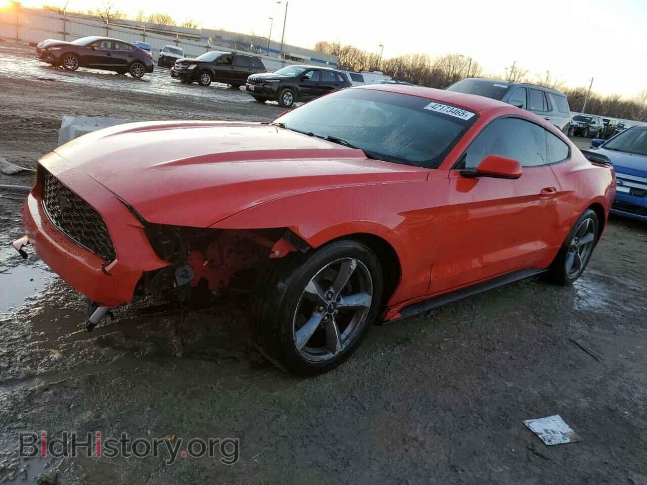 Фотография 1FA6P8AM6G5288695 - FORD ALL Models 2016