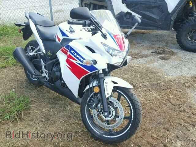 Фотография MLHMC4116D5300901 - HONDA CBR CYCLE 2013