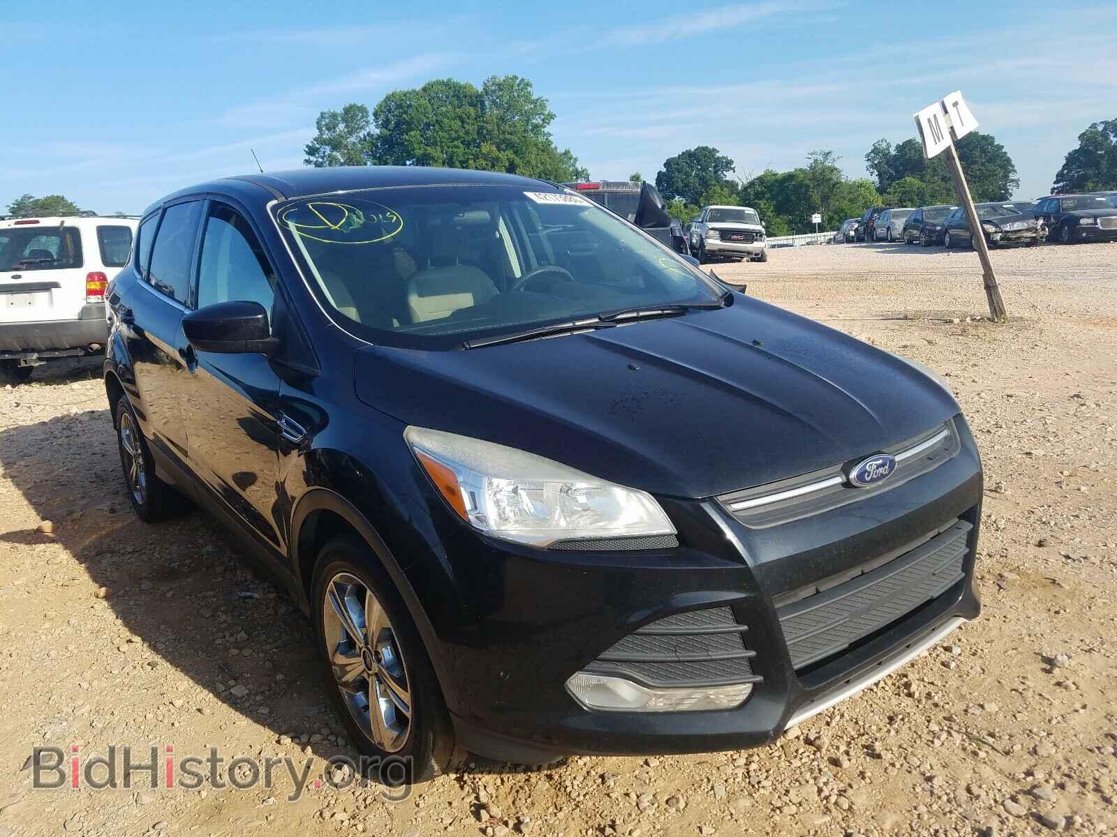 Photo 1FMCU0GX2EUB04764 - FORD ESCAPE 2014