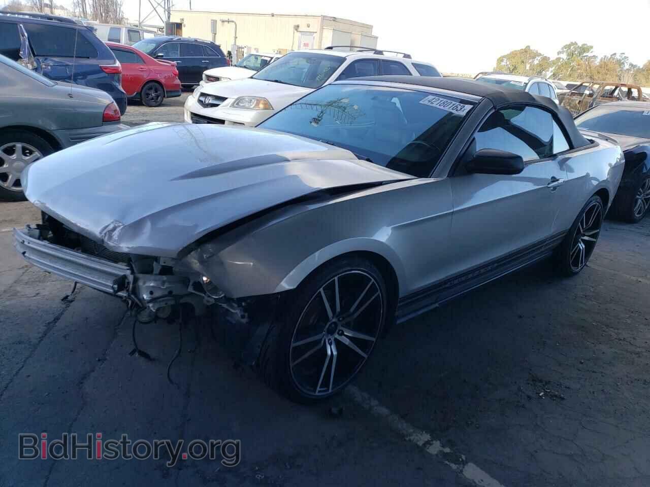 Photo 1ZVBP8EN5A5107232 - FORD MUSTANG 2010
