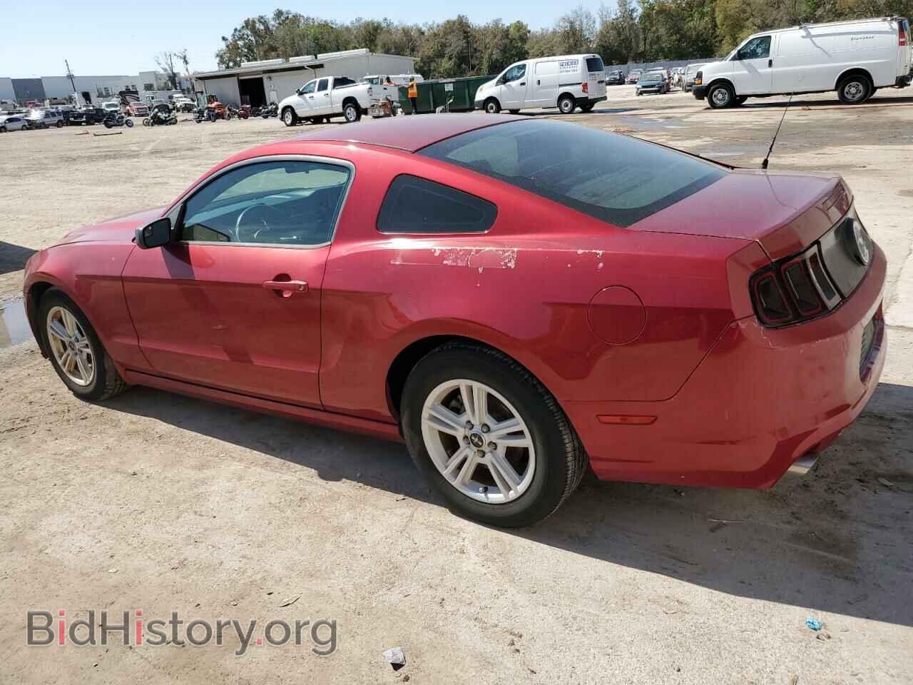 2014 FORD MUSTANG - VIN: 1ZVBP8AM9E5253653 - Фото 2