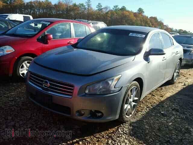 2009 NISSAN MAXIMA - VIN: 1N4AA51E99C815565 - Фото 2