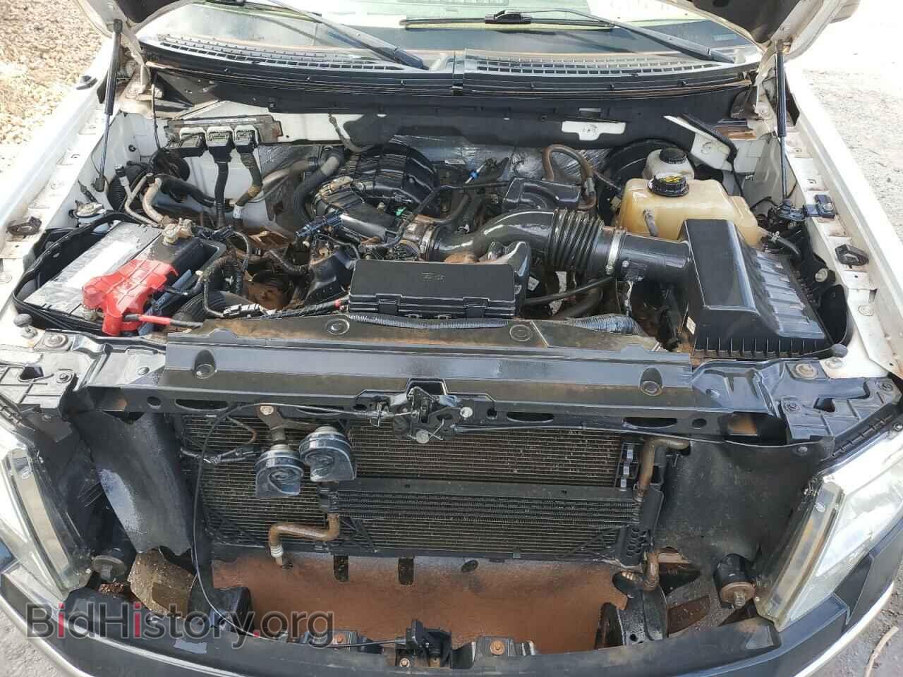 2013 FORD All Models - VIN: 1FTMF1CM4DFA27547 - Фото 11