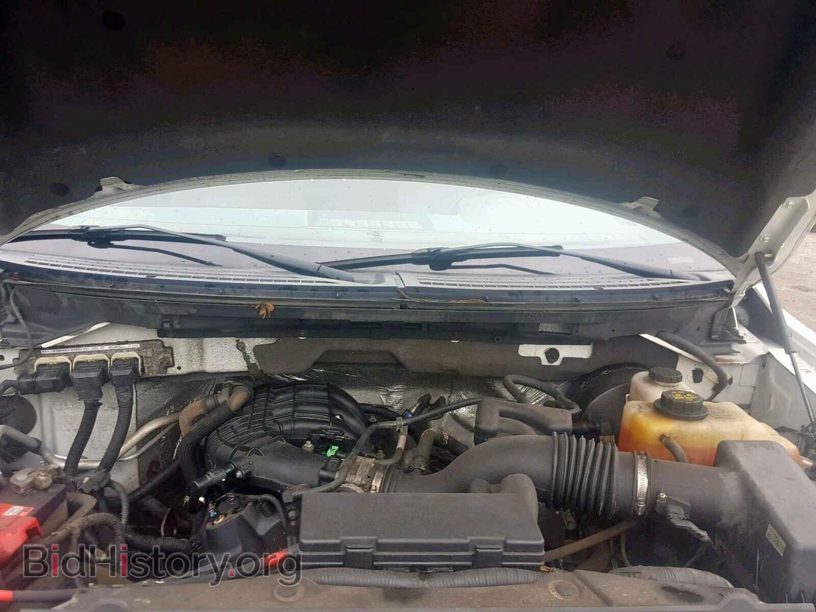 2013 FORD F150 - VIN: 1FTMF1CM1DKF76484 - Фото 7