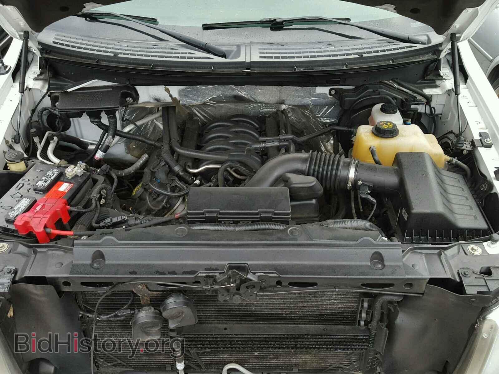 2012 FORD F150 - VIN: 1FTFW1EF5CFB77270 - Фото 7