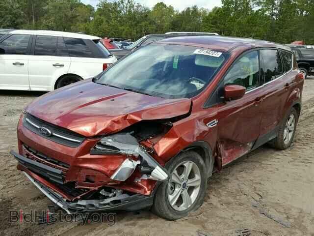 2014 FORD ESCAPE - VIN: 1FMCU0G91EUD49055 - Фото 2