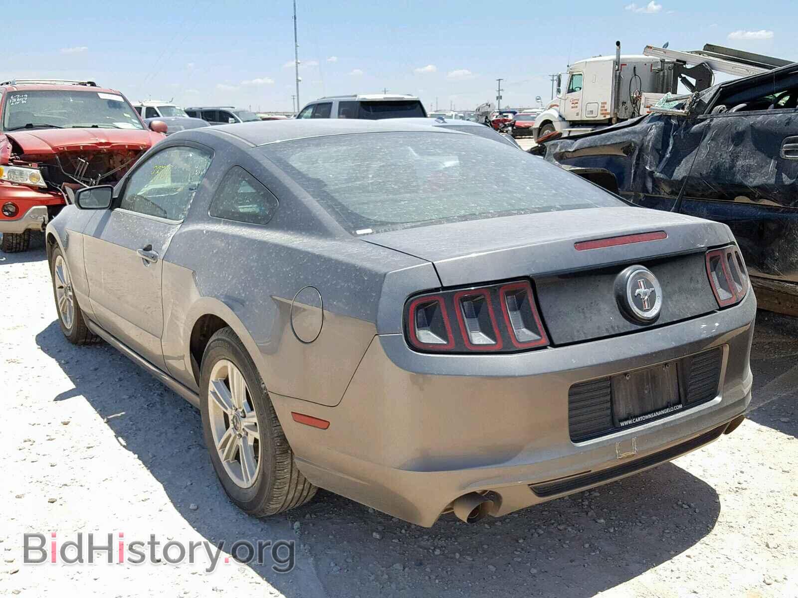 2014 FORD MUSTANG - VIN: 1ZVBP8AM2E5259147 - Фото 3