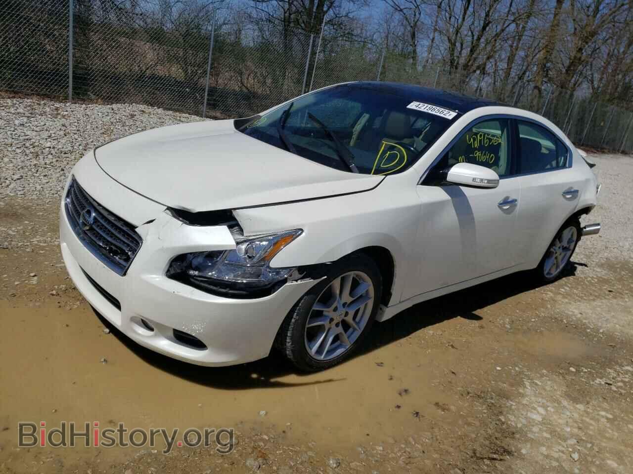 2011 NISSAN MAXIMA - VIN: 1N4AA5AP8BC814804 - Фото 2