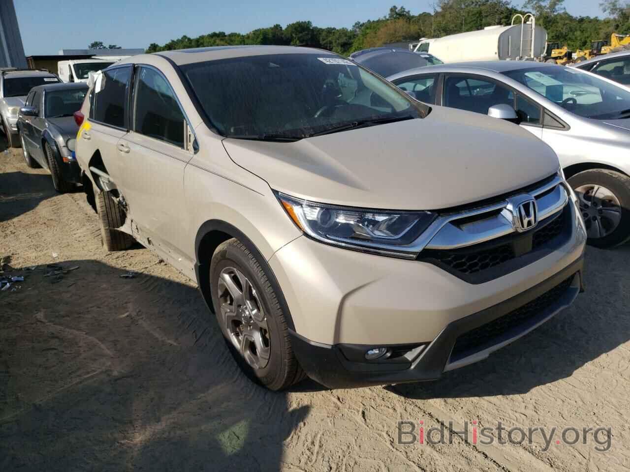 Photo 5J6RW1H89KL002895 - HONDA CRV 2019