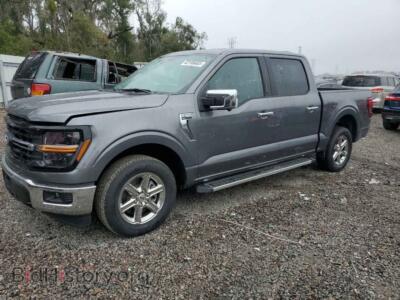 2024 Ford ALL MODELS XLT, серый — VIN 1FTEW3KP1RFA01037, Copart