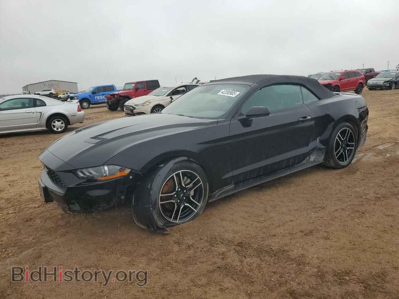 Photo 1FATP8UH4M5100527 - FORD ALL Models 2021
