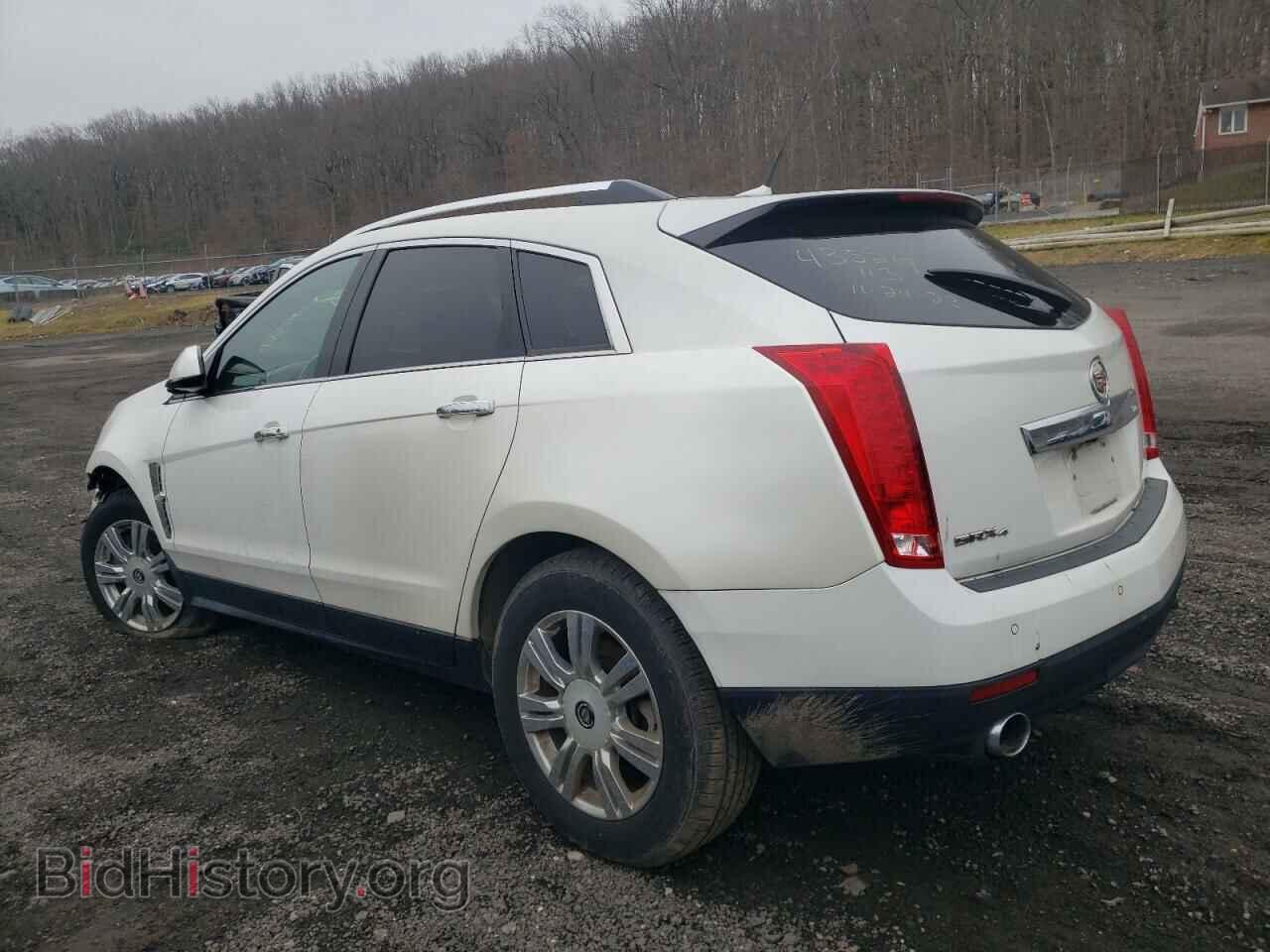 2010 CADILLAC SRX - VIN: 3GYFNDEY1AS653118 - Фото 2