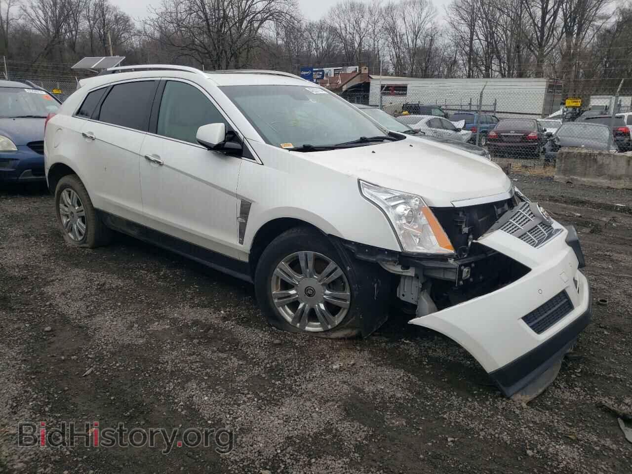 2010 CADILLAC SRX - VIN: 3GYFNDEY1AS653118 - Фото 4