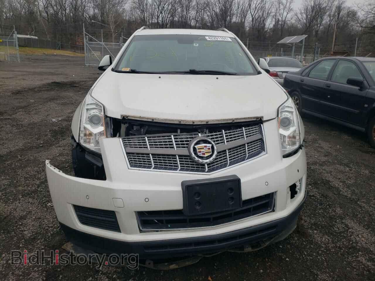 2010 CADILLAC SRX - VIN: 3GYFNDEY1AS653118 - Фото 5
