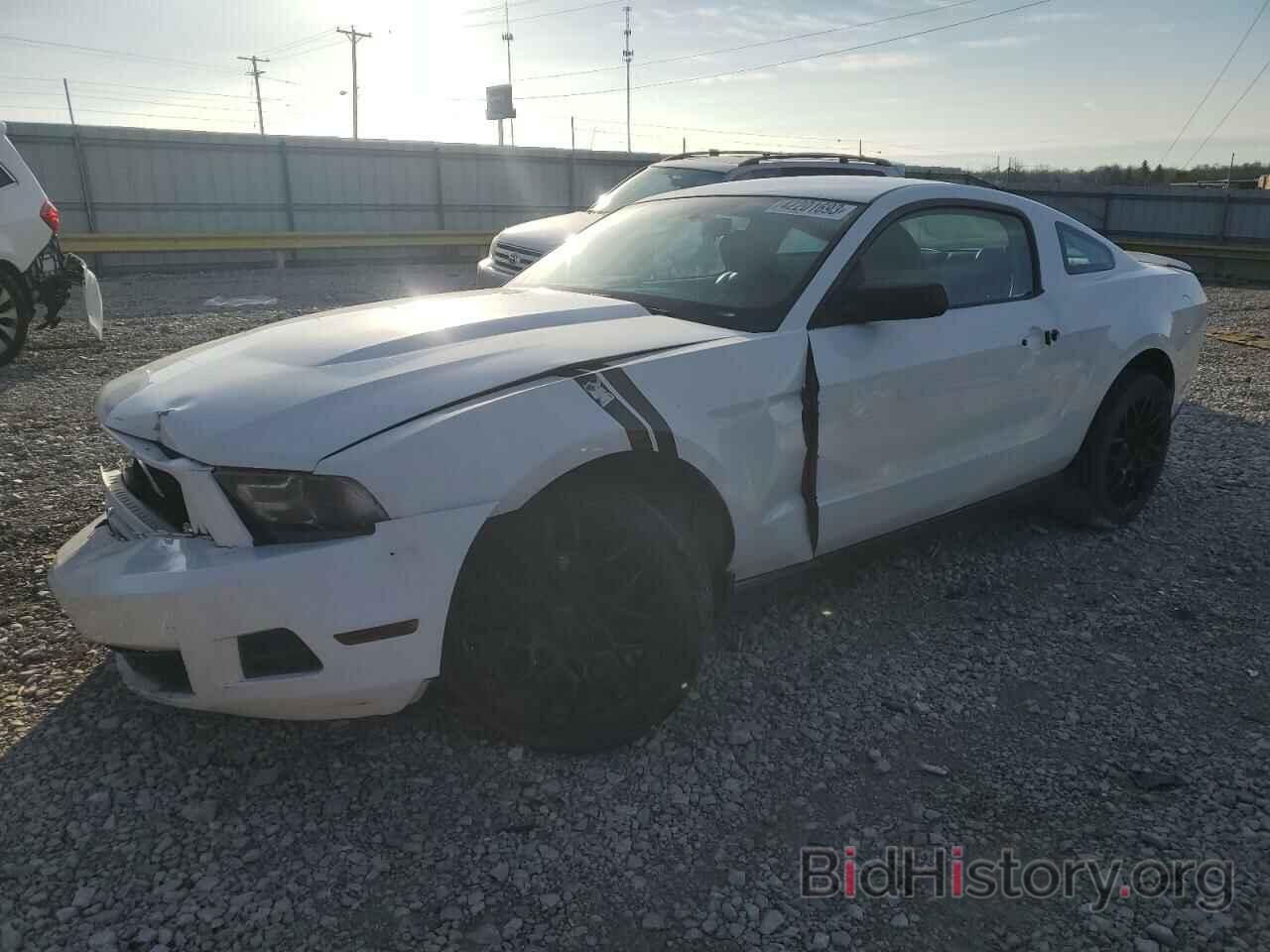 Photo 1ZVBP8AN8A5166166 - FORD MUSTANG 2010