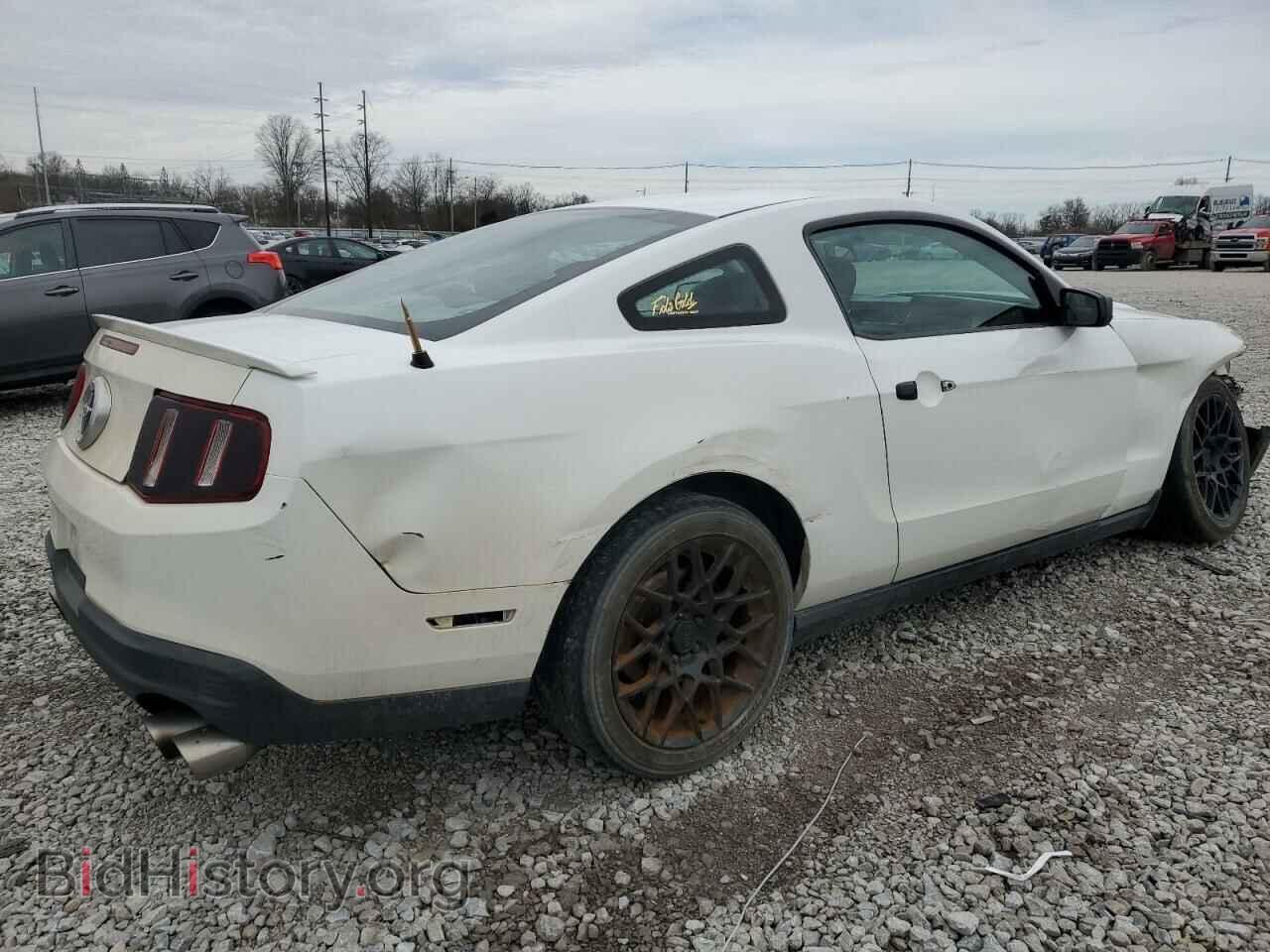 2010 FORD MUSTANG - VIN: 1ZVBP8AN8A5166166 - Фото 3