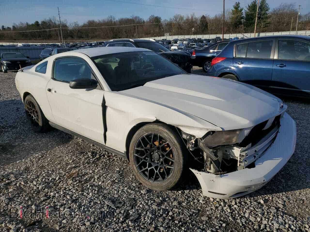 2010 FORD MUSTANG - VIN: 1ZVBP8AN8A5166166 - Фото 4