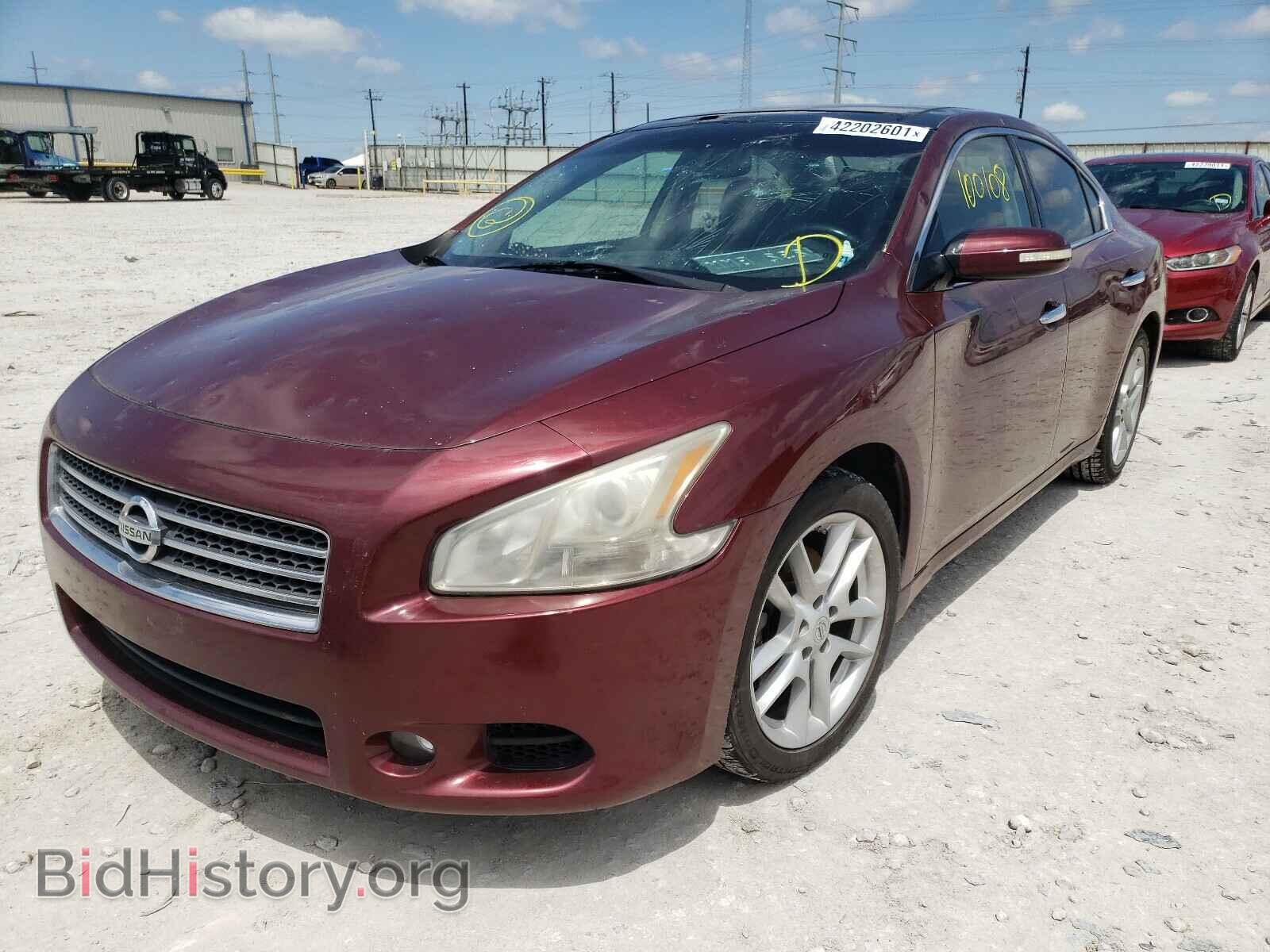 2010 NISSAN MAXIMA - VIN: 1N4AA5AP1AC866029 - Фото 2